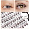Bodermincer 240 Bundles D Curl 10D 0.1mm Thickness Individual Eyelash Extensions eyelashes Cluster Lashes Natural False Eyelashes Bundles (12mm)