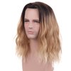 WTHCOS Men Wig Black Blonde Ombre Medium Ombre Black Blonde Curly Wavy Wig Male Wig Middle Part Wig Heat Resistant Synthetic Hair Cosplay Party Costume Halloween Daily Wear Wig With Wig Cap