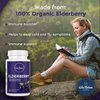 Via Natura Organics Elderberry Capsules 1000mg | Organic Herbal Supplement | 120 Capsules