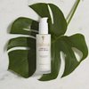Rahua Omega 9 Hair Mask, 4 Fl Oz, Conditioning Hair Care for Strong, Soft, Shiny, and Hydrated Hair, with Nourishing Natural, Plant-Based Derived Ingredients, Lavender & Uplifting Eucalyptus Scent
