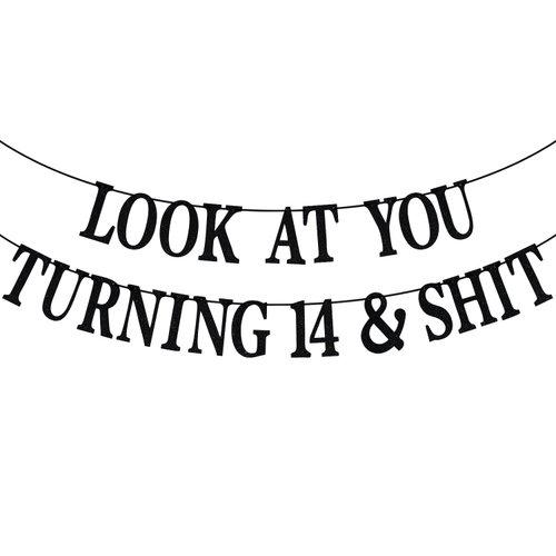 Black Glitter Look at You Turning 14 &amp; Shit Banner, Happy 14th Birthday/Level 14 Unlocked/Cheers ...