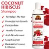 OKAY | Coconut Hibiscus Shampoo | For All Hair Types & Textures | Restore, Rehydrate, Strengthen Hair | With Almond, Argan & Avocado Oil | Free of Parabens, Silicones, Sulfates | 12. oz