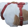 Genuine Leather Dog Harness, 29"-37" Chest, 1" Wide Straps, Doberman, Pitbull, Bullterrier