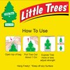 LITTLE TREES Car Air Freshener | Hanging Paper Tree for Home or Car | Strawberry | 6 Pack