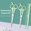 Hair Cutting Scissors Thinning Shears and Comb Set, 2 Pack 6 inch Professional Stainless Steel Barber Scissors with Sharp Blades and 1 Pack Comb for Men Women Kids and Pets Hair - Green