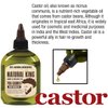 SFC Natural King Pro-growth Castor Hair & Beard Oil 7.1 oz