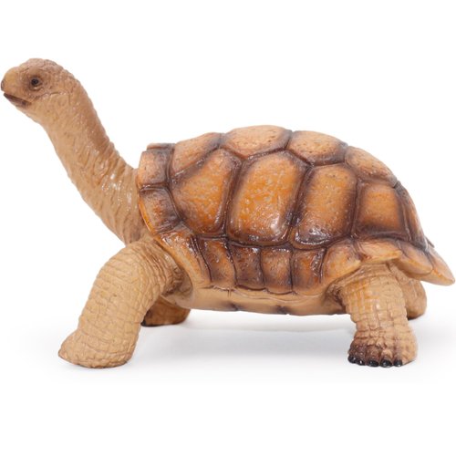 Gemini&Genius Giant Tortoise Toy Figure for Kids, Realistic Tortoise Action Figure Toy for Kids, Galapagos Giant Tortoise Figurine Wild Life Animal Toy Perfect Play, Display or Collection for Kids