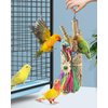 Bissap Bird Chew Toys, Parrot Foraging Shredder Natural Palm Frond Woven Bag Hanging Cage Toy with Chewing Treats for Conure Budgie Cockatiel Cockatoos and Similar Sized Pet Birds