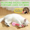 Andiker Interactive Cat Toy, Question Mark Shaped Cat Kicker Toy with a Plush Ball and a Bell for Kicking & Playing, 7.2inches Plush Cat Chew Toy for Stress Relief and Relaxation (Question Mark)