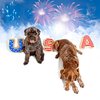 Midlee USA Sugar Cookie Dog Toy - 4th of July, Memorial Day, Patriotic Pet Plush Squeak Toys (Small)