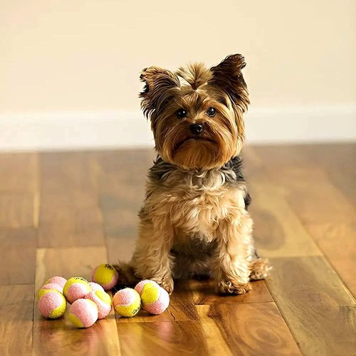 Midlee X-Small Dog Tennis Balls 1.5" Pack of 12- Puppy Mini Fetch Pet Little Tennis Balls -Yellow/Pink