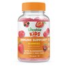 Lifeable Immune Support for Kids Gummies - with Elderberry, Vitamin C and Zinc - Great Tasting Natural Flavor Gummy Supplement - Gluten Free Vegetarian GMO-Free Chewable Vitamins - 90 Gummies