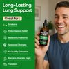 Fidus 7 in 1 Mullein Drops for Lungs- Echinacea | Oregano | Ginger | Elderberry | Marshmallow Root ｜Thyme Leaf - Lung Detox for Smokers, Respiratory & Immune Support- Vegan，Non-GMO，4 fl oz