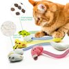 uyiixoxo Cat Toys, Cat Chew Toy for Teeth Cleaning, Soft and Durable Crinkle Sound Catnip Toys, Springs Cat Toy, Interactive Cat Kicker Toys for Indoor Cats (Pack 10)