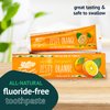 Green Beaver Natural Toothpaste Zesty Orange - 2.5 fl oz