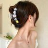 6PCS Cute Hair Claw Clips Transparent Hair Clamps for Women Thin Thick Curly Hair Styling - Strong Hold Hair Accessories