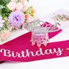 Araluky Silver Birthday Crown Adult Woman & Glitter Its My Birthday Sash for Women Birthday Tiara for Women Birthday Hat Birthday Girl Crown for Women Parties Favors Pink Birthday Decorations Gift