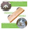 2Pcs Chinchilla Ledges Wooden Hamster Cage Platform Shelf Bird Perch Stand Platform Toys Cage Accessories for Rat Squirrel Gerbil Suger Glider 2.6" X 5.9"