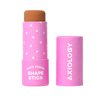 Axiology Shaping Stick for Definition, Bronzing, and Contour Foundation Shape Stick Cream Bronzer Pen Professional Face Shaping & Contouring Buildable Coverage, Long Lasting Shade Cheeks Vegan (Light)
