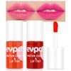 evpct 2Pcs Apple Strawberry Korean Water Pink Red Lip Tint Lip Inks Stain Set for Lips Cheeks Long Wear tintas de labios tinte para labios tinta de labios de larga duracion duración