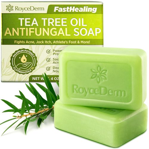 Roycederm Antifungal Antibacterial Tea Tree Soap: Antifungal Antibacterial Treatment for Face &amp; B...