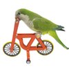 QBLEEV Bird Intelligence Training Toy，Parrot Puzzle Bicycle Toy for Small Medium Bird，Parrot Educational Table Top Trick Prop Toy，Bird Foot Talon Toy for African Grey Cockatoo Eclectus Conures