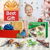 Insect Collection Building Block Set for Kids 6+, Butterfly Mantis Wasps Unicon Beetle Display Models for Nature Décor, 4 Packs Bug Building Toys, Fun Gift for Adults Boys Girls Nature Lovers (727PCS)