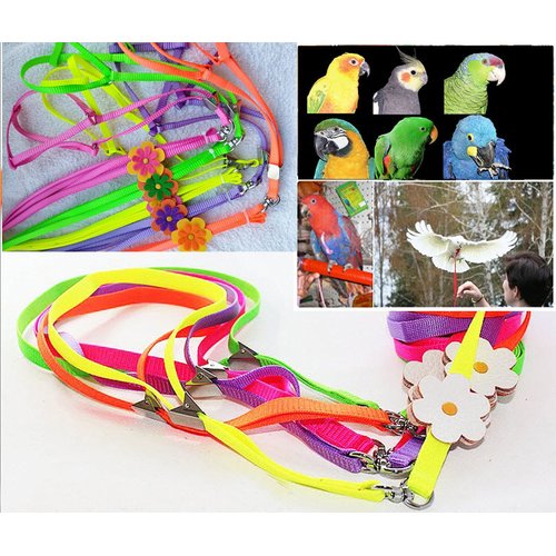 Hypeety Beauty Parrot Adjustable Bird Harness and Leash Anti-bite for Bird Parrot African Grey Cockatoo Macaw Ringneck for Medium Size Bird (1Pcs Random Color)