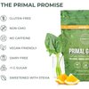 Primal Harvest Super Greens Powder, 30 Servings w/+50 Greens Superfood Chlorella, Probiotics, Green Tea, Wheatgrass, Kale, Turmeric for Energy,Primal Greens