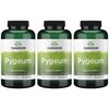 Swanson Pygeum - 120 Capsules, 400 mg Each - Herbal Supplement for Male Prostate Health, Bladder, and Urinary Tract Support (3 Pack)