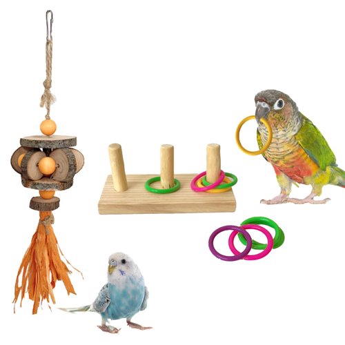 GCFTIFF Parrot Intelligence Training Toys Set, Colorful Stackable Rings Training Toy (9 Pcs Rings), Natural applewood Parrot Tearing Toy,Wooden Bird Cage Toy Suitable for Most Pet Birds