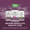 Nature's Way Milk Thistle, Premium Blend, 80% Silymarin per serving, Non-GMO, 120 Capsules