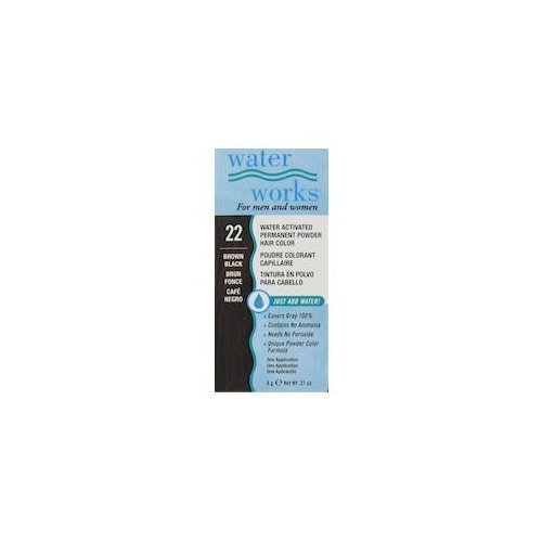 Water Works Permanent Powder Hair Color - #22 Brown Black .2 oz. (Pack of 2)