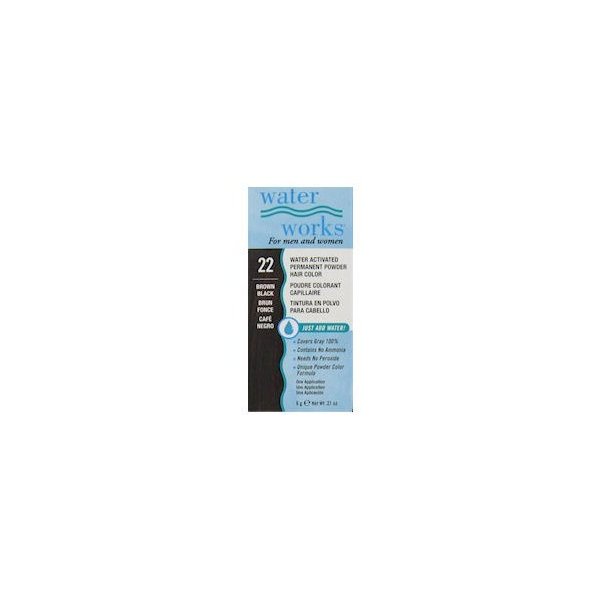 Water Works Permanent Powder Hair Color - #22 Brown Black .2 oz. (Pack of 2)