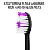 Acteh Sonic Edge JetWave Toothbrush Replacement Heads - 12 Pack | Premium Original Genuine | Compatible with Acteh Sonic Edge & JetWave Brushes