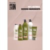 RECAMIER Green Forest Moisturizing Natural Hair Shampoo Hidratante 10.1 OZ