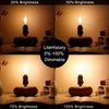 LiteHistory Dimmable t6 led Bulb 40W Candelabra led 2700K Clear 400lm 4W e12 Edison Bulb Warm White 6Pack
