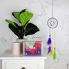 DIY Dream Catcher Kit