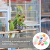 POPETPOP Bird Bell Balls Plastic Bird Ball Toy : 12pcs Bird Toys Bird Chewing Balls Colorful Cockatiel Balls with Bell Cat Toys Bird Cage Toy Bird Chewing Toys for Parrot Lovebirds, Random Color