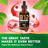BASIC GREENS Vitamin B12 Sublingual (Vegan) 2 Fl Oz - Methylcobalamin B12 Vitamins 5000 mcg, B12 Liquid Drops, Methyl B12, Cherry Flavor