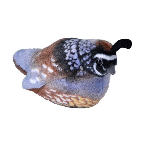 Wild Republic Audubon Birds California Quail Plush with Authentic Bird Sound, Stuffed Animal, Bird Toys for Kids and Birders