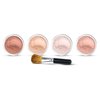 5pc BLUSH SET with BRUSH Mineral Makeup Kit Bare Face Powder Rouge Highlight (Full Size Blush Set)