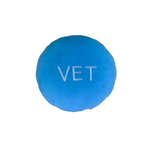 Vechain Pillow - Embroidered Round Stuffed Plush Crypto Pillow by BlockCraft.Shop Vet Plush Pillow