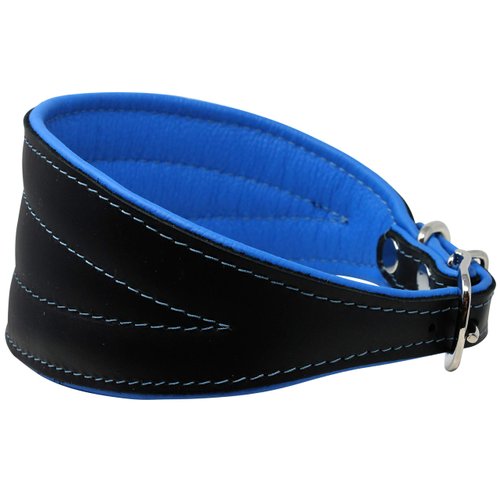 Real Leather Extra Wide Padded Tapered Dog Collar Glossy Black Greyhound Saluki Deerhound Lurcher Whippet Dachshund (13.25"-15.25" Neck; 2.5" Wide, Blue)
