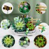ZIYOSTAR Mini Bricks Succulent Plant Building Kit,389PCS DIY Simulating Plant Ecology Collection Building Toy,Bouquet Set Gifts for Adults, Children（Not Compatible with Lego Set ）