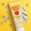 Burt's Bees Christmas Gifts, Face Wash, Deep Facial Cleansing Cream Stocking Stuffers, All Natural Cleanser with Chamomile, 6 Ounce (Pack of 3) (Packaging May Vary)