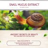 BIOAQUA Snail Prime Mask Essence Moisturizing Replenishment Face Mask Repair Facial Skin Tender Hydration 30g (6 Pack)