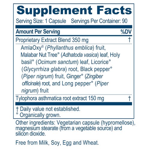 Ayush Herbs Bronchotone, Powerful Respiratory & Immune-System Support, All-Natural Ayurvedic Herbal Supplement, Doctor-Formulated, 90 Capsules