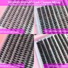 DAODER Wispy Lash Extension Kit 640Pcs Cluster Lashes Natural Look, Short Lash Clusters Kit 9-13mm 30D 40D 50D 60D D Curl Individual Lashes Kit with Lash Bond Seal Remover(30D+40D+50D+60D Kit 9-13mm)