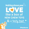 Nylabone Holiday Puppy Gift Box for Small Dogs, Includes 3 Strong Chew Toys and 1 Dog Treat, Gifts for Puppies, Small/Regular (4 Count)